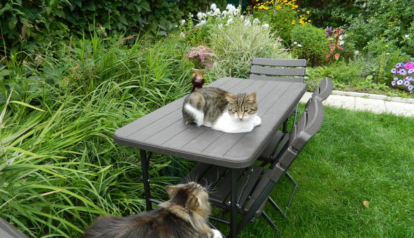 Фото Натальи (Natasha777)