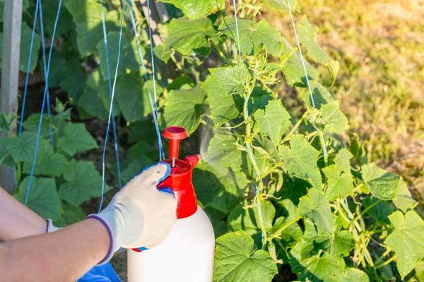 Обработка растений