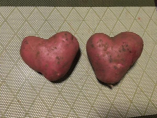 Сердечная пара