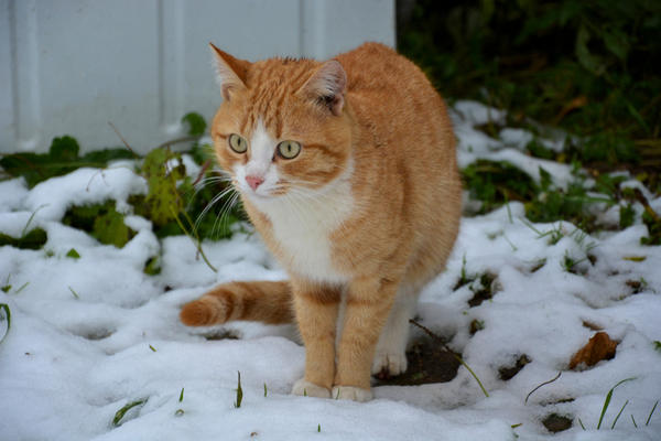 Безобразие...