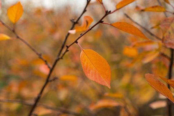 Зима на юге