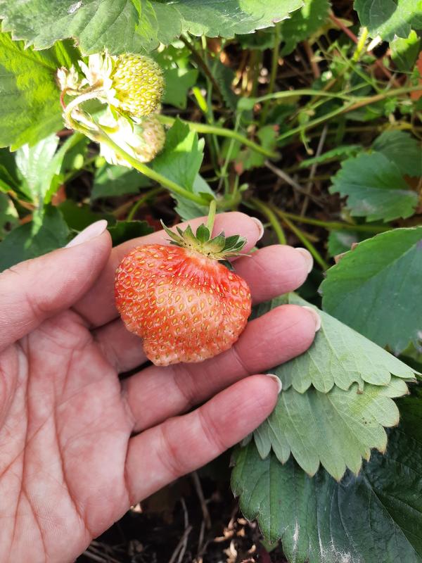 12 октября 2023 года