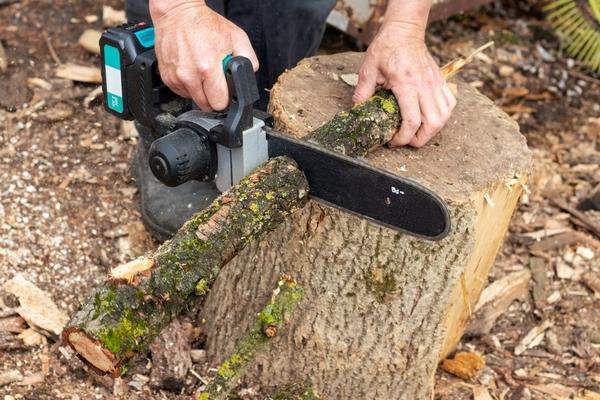Бытовые цепные пилы рассчитаны на небольшие нагрузки