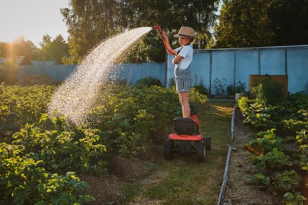 Надо поливать...