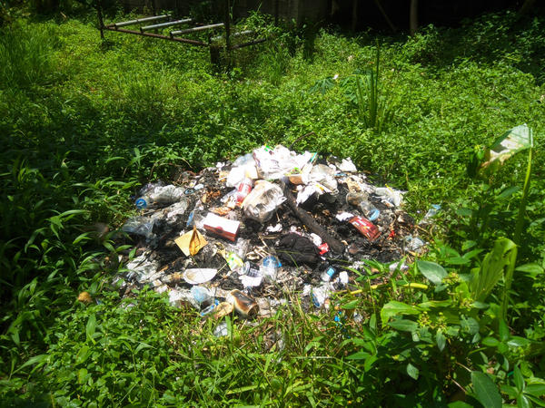 Неухоженный участок