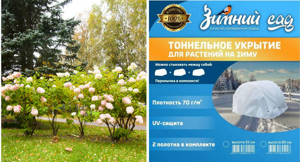 Тоннельное укрытие - отличное решение для декоративных кустарников