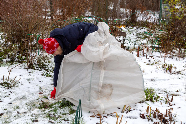Укрытие может быть, например, таким