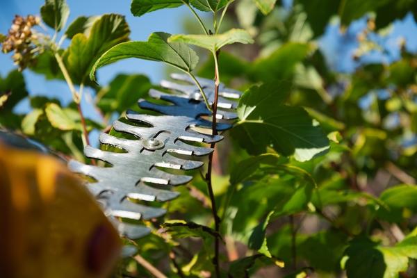 Шаг реза определяет максимально допустимый диаметр срезаемых веток