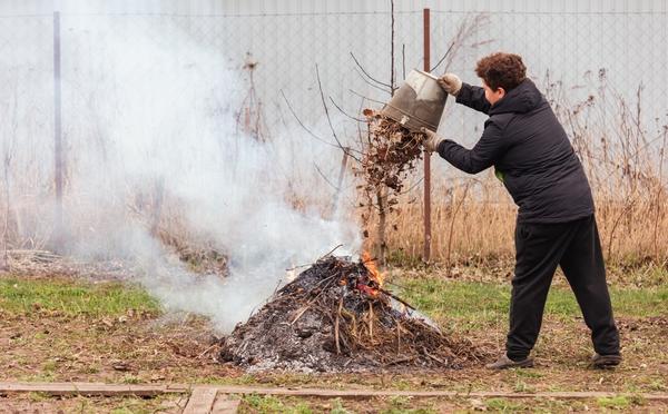Осенние работы