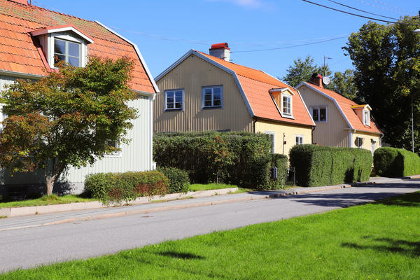 Габитус живой изгороди должен соответствовать существующим нормам и ограничениям