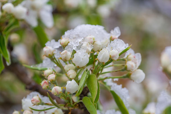Не летнее лето