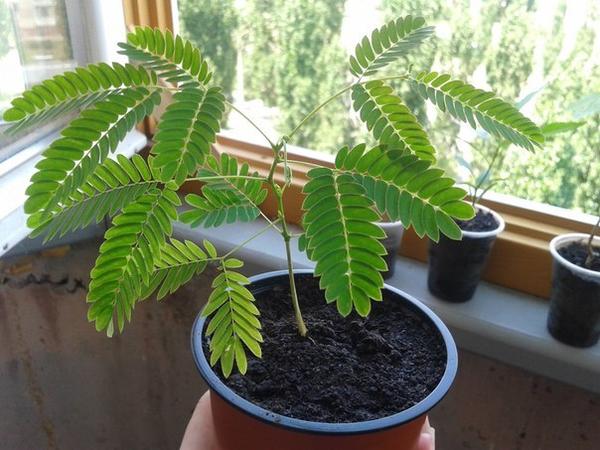 Фото с сайта fatra.su