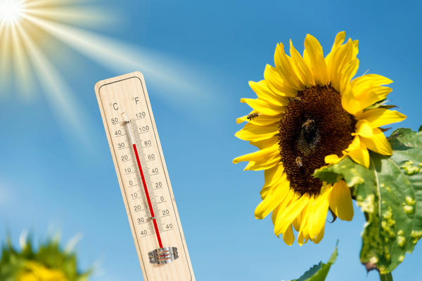 Лето, август