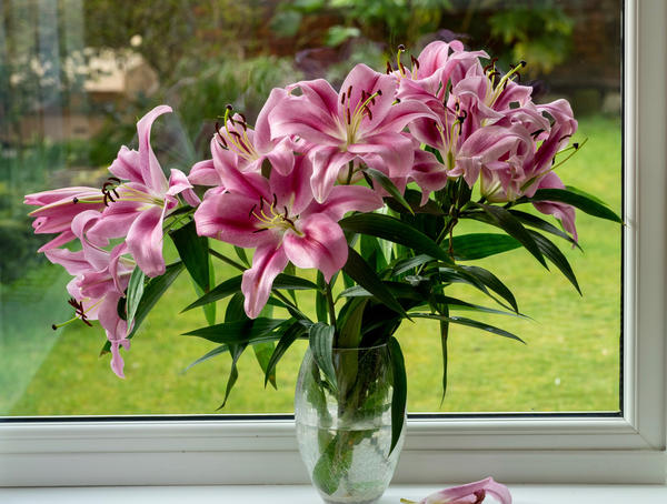 Поздравляем!