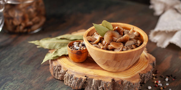 Грибы сезона 2025