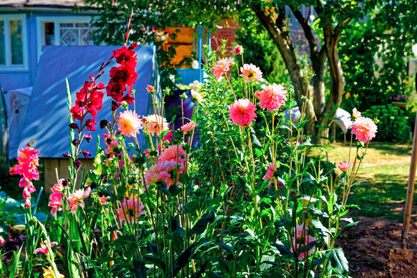 Лето... пока лето..