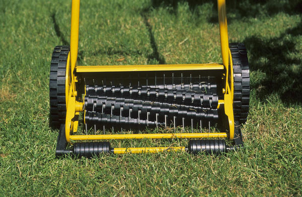 Существуют механические устройства для ухода за газоном, но усилий эта процедура потребует очень много