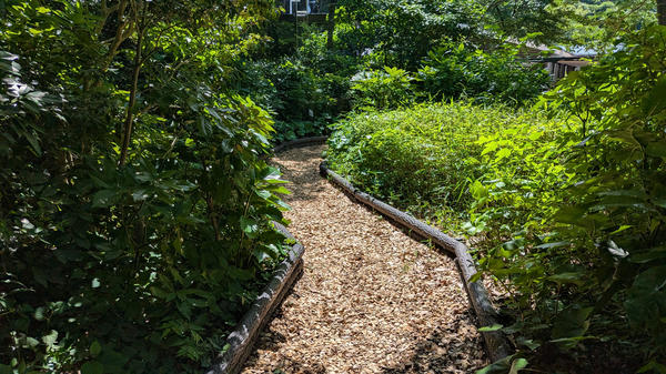 Дорожка, отсыпанная щепой