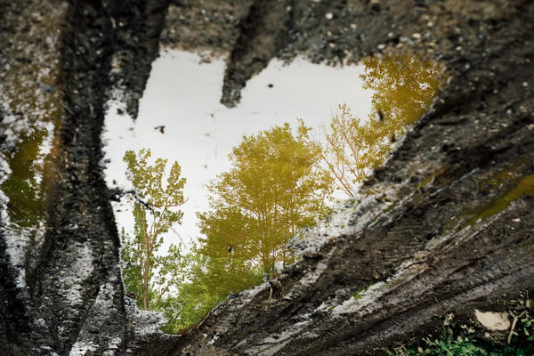 Окно в осень...