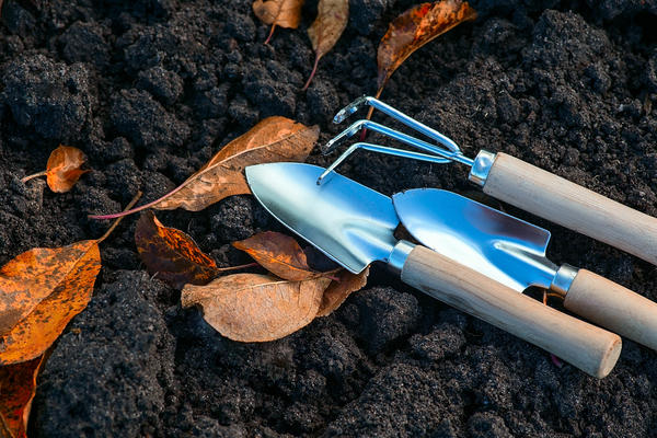 Осенние работы