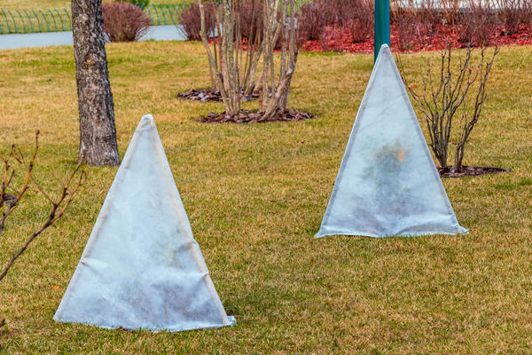 Укрытие садовых неженок