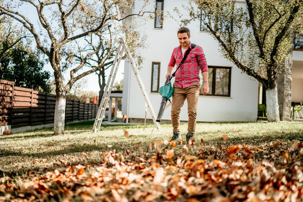 Воздуходувка — отличный помощник на садовом участке