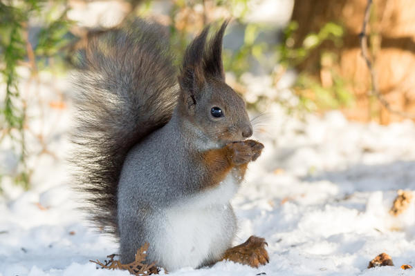 Скоро зима...