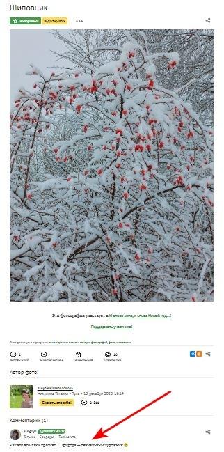 Комментарий