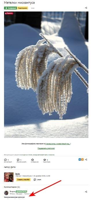 Комментарий