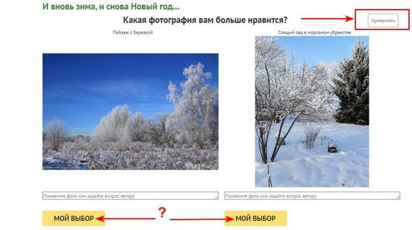 Как устроено голосование