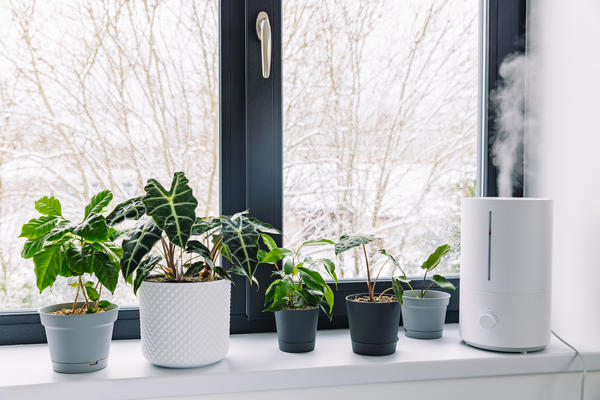 Увлажнитель воздуха — лучшее решение для поддержания оптимальной влажности воздуха