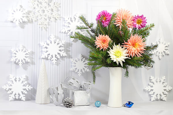 Поздравляем!