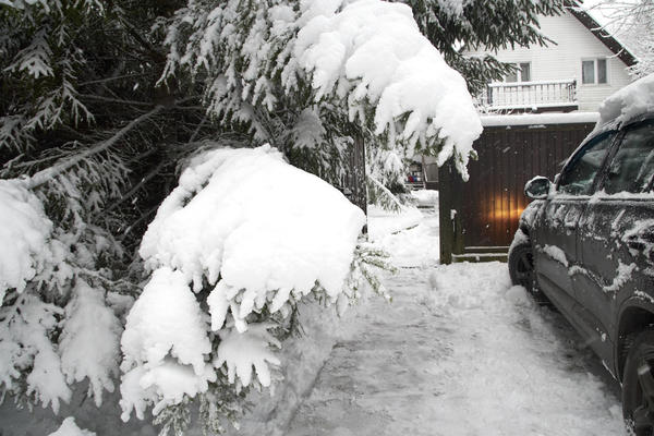 Большинству нужен универсальный солдат для типичных дачных задач