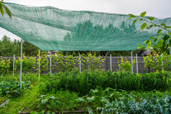 Притеночная сетка. Это нам нужно?