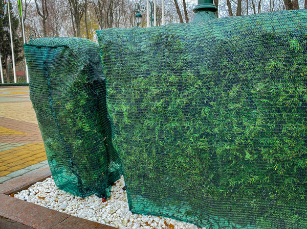 Для защиты хвойных используют сетку плотностью 30-40%