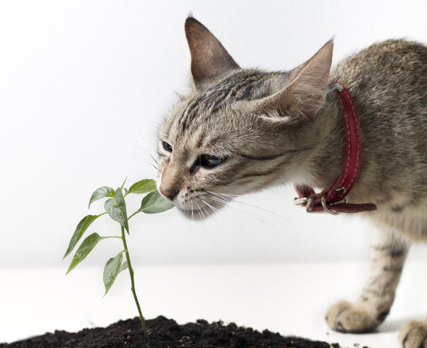 Непредвиденные обстоятельства