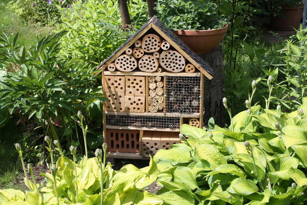 Отель для насекомых Ларисы (Bonita), Новосибирск