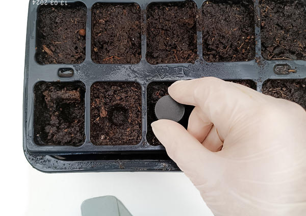 Использование пробки для посева семян