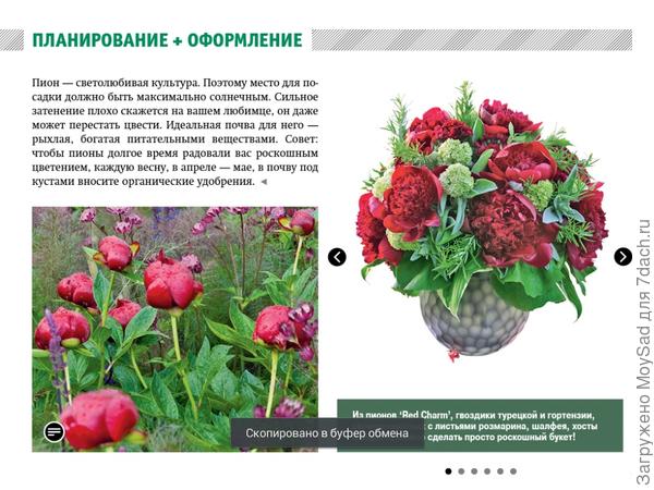 Планшетная версия МОЙ ПРЕКРАСНЫЙ САД