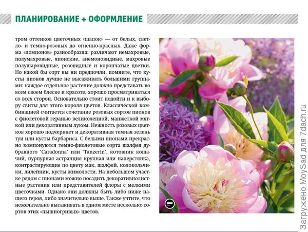 Планшетная версия МОЙ ПРЕКРАСНЫЙ САД