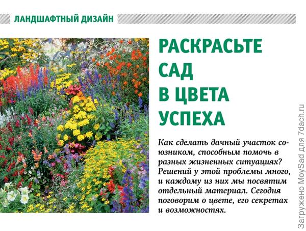 Планшетная версия МОЙ ПРЕКРАСНЫЙ САД