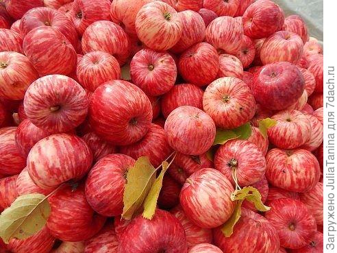 фото из интернета