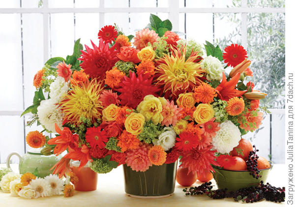 Мои поздравления!