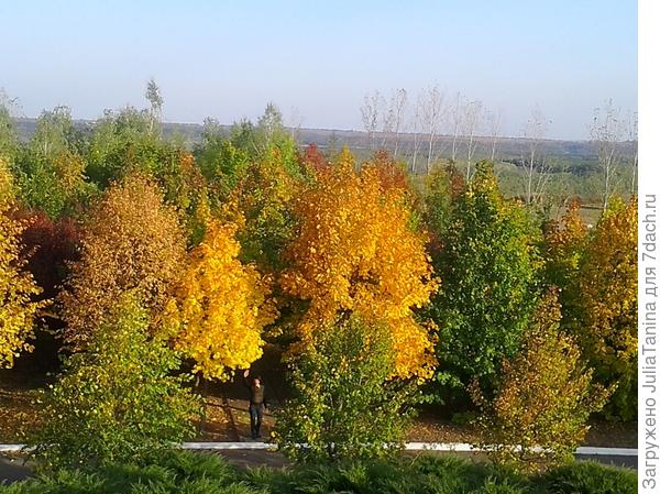 солнечный день