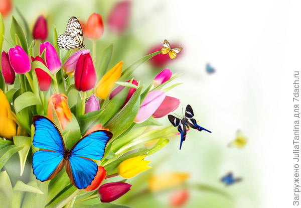 Поздравляю!!!!!!!