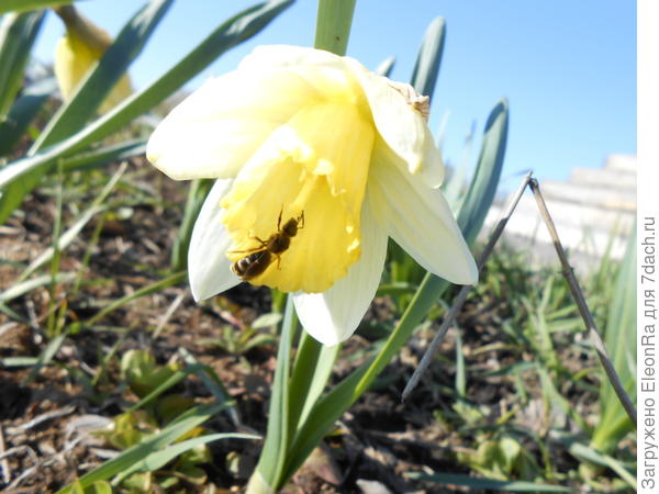 весна настала, также не дремлют работники!))