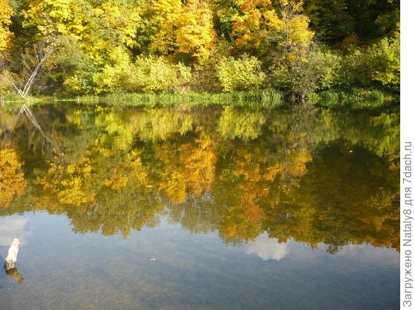 Река Хопёр.Саратовская область.