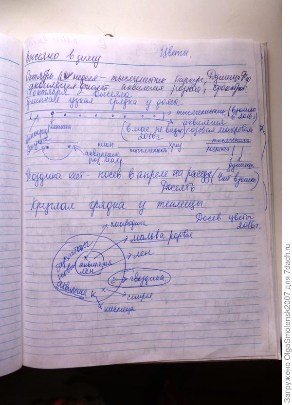 Зарисовки осенних посадок