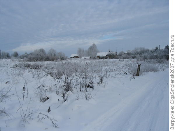 Деревушка в Смоленской глубинке.