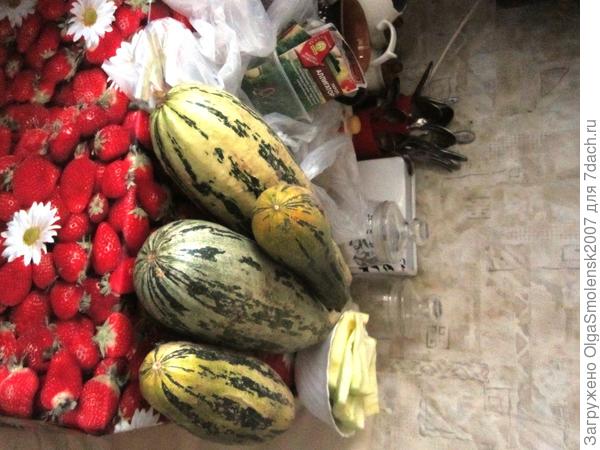 Кабачки хранятся до января.